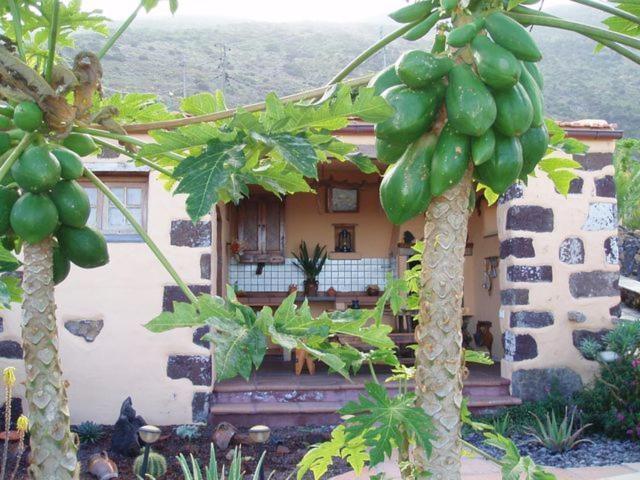 Casa De Mi Abuela Maria Pension Frontera Buitenkant foto